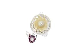 EAU61505015 DC13V 2.87W For L-G Refrigerator Fan Motor Compatible EAU64824402 EAU61505014