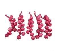 Eawfgtuw 5Pcs Artificial Garlic Strings - Realistic Fake Garlic Decoration Artificial Vegetable Props For Halloween Home Kitchen Decor White Purple Foam(Purple garlic)