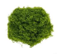 Eawfgtuw Artificial Moss Green Plant Decoration Polyester Fiber Fake Moss for DIY Crafting Indoor Outdoor Decor Garden Landscape Model Making Natural Looking Plant Display(100g)