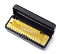 Eawfgtuw For 10 Hole Harmonica for Key of C, Blues Mouth Organ Beginner Instrument with Numbered Notes, Compact Size for Kids & Students, ABS+Metal(Gold)