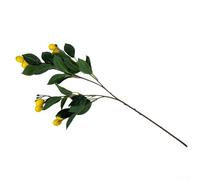 Eawfgtuw For Artificial Lemon Branch with Green Leaves - 67cm Faux Lemon Tree Stem for Home & Garden Decor, Spring Summer Floral Décor, Table(0)