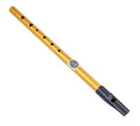 Eawfgtuw For Irish Whistle in C - 6 Hole For Tin Penny Flute for Traditional Irish Music, Key of C, Metal & ABS Construction, Gold Silver Black Options(Gold C Key)