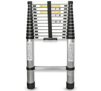 Eaxus® Telescopic Ladder 3.8 m DIN EN 131 Aluminium Multi-Purpose Extendable with 13 Steps, Silver