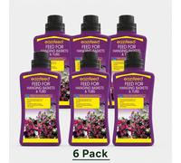 EaziFeed Feed For Hanging Baskets & Tubs 500ml Assorted Packs