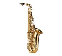 Eb Alto Saxophone Brass Lacquered Wind Instrument with Carry Case, Gloves, Straps, Cleaning Cloth, and Brush