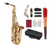 Eb Alto Saxophone, E Flat Saxophone with Exquisite Carved Brass Body & Plastic Mouthpiece | Includes Gloves, Cleaning Cloth, Brush & Straps