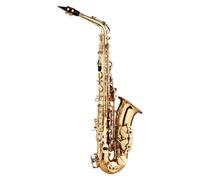 Eb Alto Saxophone | Engraved Brass Body w/Plastic Mouthpiece | Full Starter Kit: Gloves, Cloth, Brush & Straps
