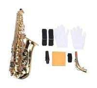 Eb Alto Saxophone Kit, Curved Neck Saxophone Alto Saxophone E Flat Brass Sax Kit