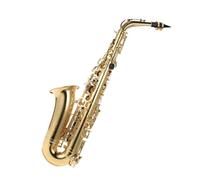 Eb Alto Saxophone Lacquered Gold E Flat Woodwind Instrument