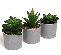 EB Designs Set of 3 Artificial Succulent Plants - Fake Greenery in Grey Pots with Pebbles - Decorative Faux Plants for Home, Office, Indoor & Outdoor Use