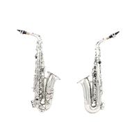 Eb Tune Alto Saxophone Professional Silver Saxophone Sax Accessories for Beginner Student