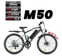 EB3S / M50 Electric Mountain Bike