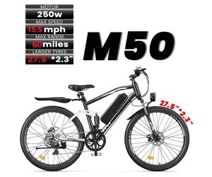 EB3S / M50 Electric Mountain Bike