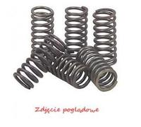EBC Brakes CSK002 Clutch Spring Set