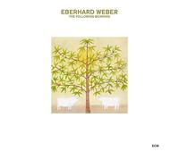 Eberhard Weber - The Following Morning