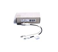 Eberspacher Espar Glow Pin for Hydronic D5WS 24v 252107011000, Genuine
