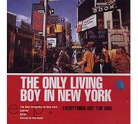 ebg - the only living boy in new york ep