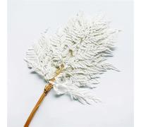 EboLD 10pcs Natural Plant Preserved Flower Dried Fern Leaf Sawtooth Leaf Alpine Tooth Fern Wedding Decoration Room Artificial Flower-white-10pcs