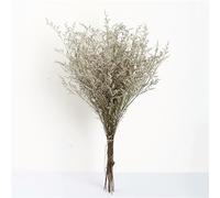 EboLD 50g Natural Preserved Limonium Flower Dried Lover Grass Flower Eternal Life Flowers Arrangement For Home Wedding Decoration-Natural-50g