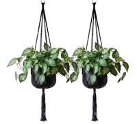 EBOOT 2 Pack 48 Inch Large Macrame Plant Hanger Rope to Hang Flower Pot Plant Holder for Indoor Outdoor Decorations, 4 Legs (Black)