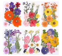 eBoot 72 Pcs Dried Pressed Flowers for Resin Molds Real Pressed Flowers Dry Leaves Bulk Natural Herbs Kit for Scrapbooking DIY Art Crafts Jewelry Molds Candle Soap Making Nails Decor(Gorgeous Style)