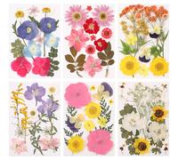 eBoot 72 Pcs Dried Pressed Flowers for Resin Molds Real Pressed Flowers Dry Leaves Bulk Natural Herbs Kit for Scrapbooking DIY Art Crafts Jewelry Molds Candle Soap Making Nails Decor(Fresh Style)