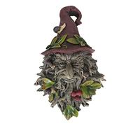 Ebros Gift Nature Spirit God Celtic Winter Solstice Toadstool Greenman with Magical Sorting Hat Hanging Wall Decor Plaque 10" H Wiccan Tree of Life Forest Horned God Ent Mythical Fantasy Sculpture