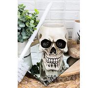 Ebros Ossuary Macabre Grinning Sinister Skull Cranium Toilet Brush and Base Holder Bathroom 2 Piece Set Skulls Skeletons Underworld Accent Decorative