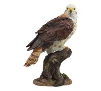 Ebros Realistic Wildlife Yellow Tailed Hawk Perching On Tree Stump Statue Birds of Prey Decorative Figurine 10" Tall