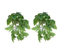 EBTOOLS 2PCS Artificial Plant Simulation Vine - Lifelike Monstera Leaves with Suction Cups for Aquarium and Reptile Decor (Sweet potato leaves)