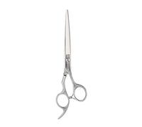 EBTOOLS 6 Inch Professional Hair Scissors Set, Includes Thinning Shears, Ideal Hairdressing Tool for Family Salons, Durable Stainless Steel Design.