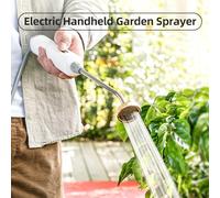 EBTOOLS Electric Stainless Steel Watering Wand with Spray, Ergonomic 11-19 Inch Sprayer and 9.8 Feet Hose for Gardening (Type-1)