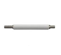 EburpKhbd Platen Roller Assembly Maintenance Kit 5pc P1037974-028 Compatible With ZT200 Series ZT210 ZT220 ZT230 ZT111 ZT211 ZT231 ZT231CN Printer(Only Roller x 5)