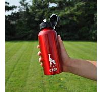 eBuyGB Personalised Kids Water Bottle with Straw for School, Nursery - Reusable BPA Free 650ml Animal Themed Aluminium Sports Drinks Travel Bottle for Children - Any Name & Icon (Red)