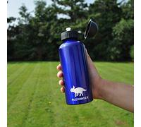 eBuyGB Personalised Kids Water Bottle with Straw for School, Nursery - Reusable BPA Free 650ml Animal Themed Aluminium Sports Drinks Travel Bottle for Children - Any Name & Icon (Blue)