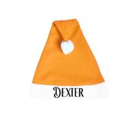 eBuyGB Personalised Santa Hat with Name, Custom Christmas Hat for Adults, Colourful Xmas Staff Party Hats, Unisex Customisable Holiday Hat - Pack of 5 (Orange)