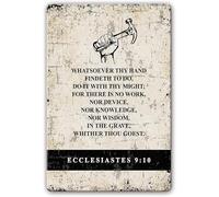 Ecclesiastes 9:10 Metal Tin Sign Bible Verse Wall Art Scripture Wall Decor For Bedroom Wall Decorations Painting Modern Home For Man Cave Garage Wall Plaque Metal Tin Sign 8x12 Inch