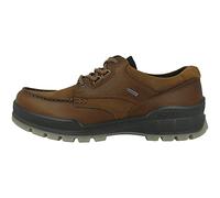 Track 25 Low GTX Waterproof Full Grain Leather Men's Shoes