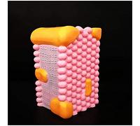ECell Model - Cell Membrane Structure Model - Composed of Phospholipid Molecule,protein Molecule
