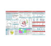 Ecg Pocket Guide ECG Rhythm Pocket Card Double-sided, Tri-fold Reference Card For Use In Hospitals, Home Care, And Nursing Schools 30x15cm