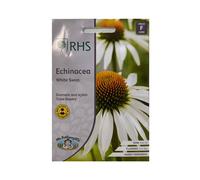 Echinacea Seed Grow Your Garden Flower White Swan RHS Mr. Fothergill's