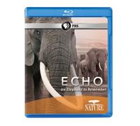 Echo: An Elephant to Remember [Blu-ray] [US Import]