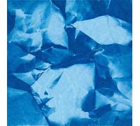 Echo Boomer - The Shape of Things That Never Came [VINYL]