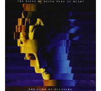 Echo Of Pleasure