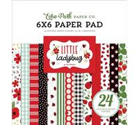 Echo Park Double-Sided Paper Pad 6"X6" 24/Pkg-Little Ladybug
