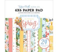 Echo Park Paper 6 x 6 Paper - My Favorite Spring