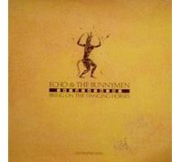 Echo & The Bunnymen - Bring On The Dancing Horses (Extended Mix)