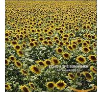 Echo & The Bunnymen - Me I'm All Smiles