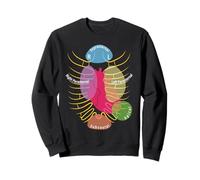 Echocardiography Acoustic Windows Technician Gift T-Shirt Sweatshirt