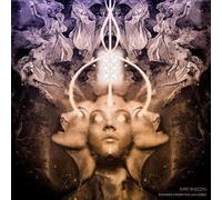 Echoes From The Universe (violet Vinyl) by Mr.bison (Vinyl Record 2024)